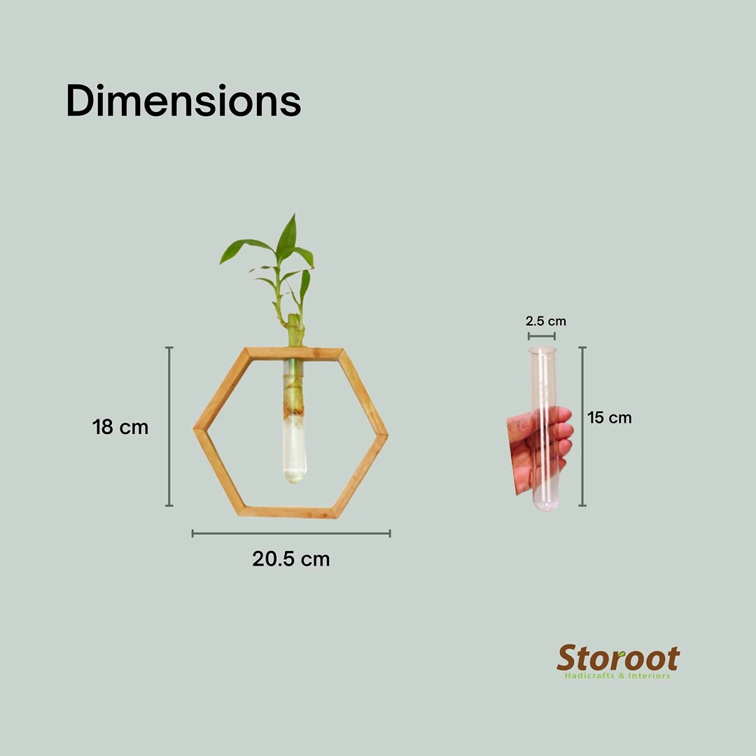 Dimensions of Honeycomb Wooden Wall Hanging Planter with Mahogany Wood Frame