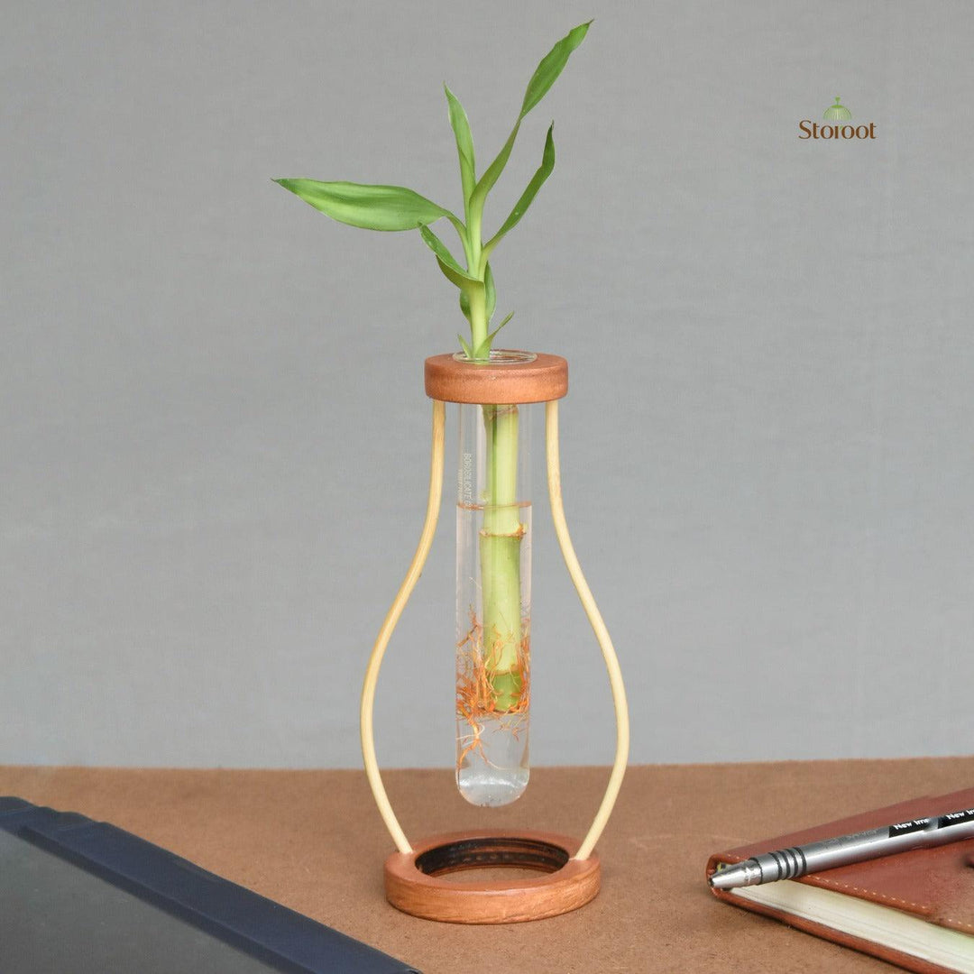 Close-up of the bamboo tabletop test tube planter highlighting the plant and bamboo design