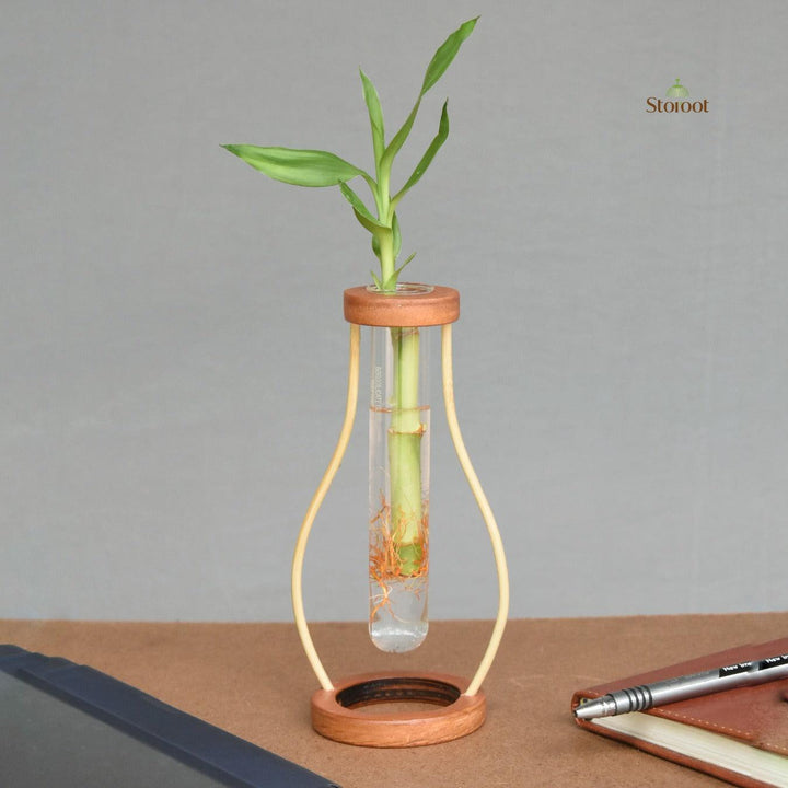 Close-up of the bamboo tabletop test tube planter highlighting the plant and bamboo design