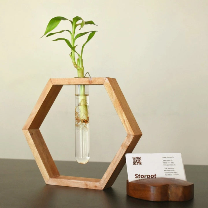 Honeycomb Wooden Wall Hanging Planter Displayed with Business Card on Table