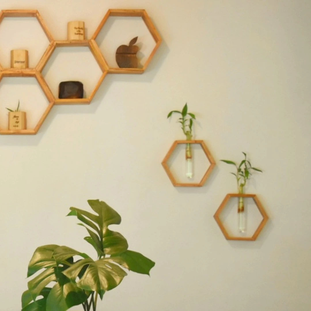Honeycomb Wooden Wall Hanging Planters Next to Wooden Wall Decor