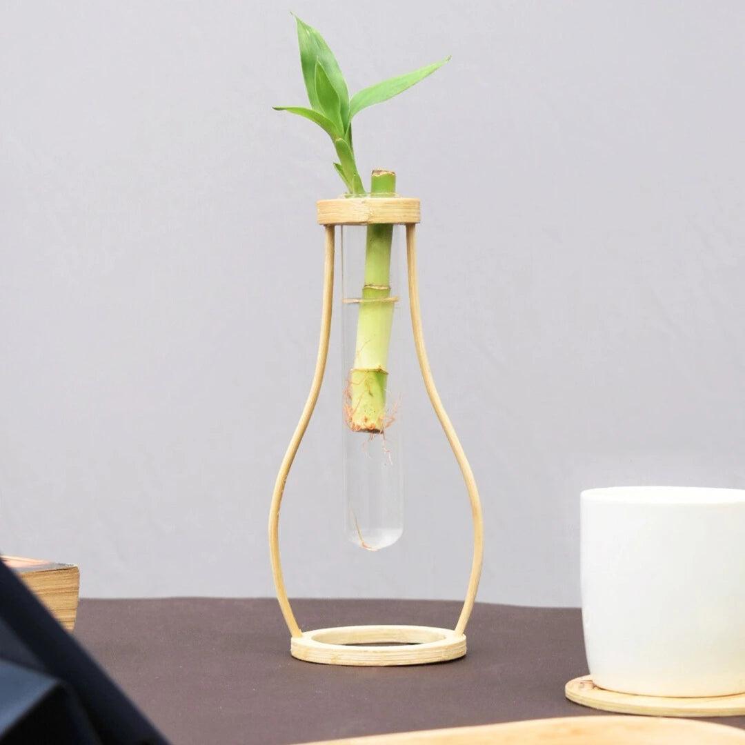 Bamboo and wood tabletop planters, perfect for small spaces and plant lovers