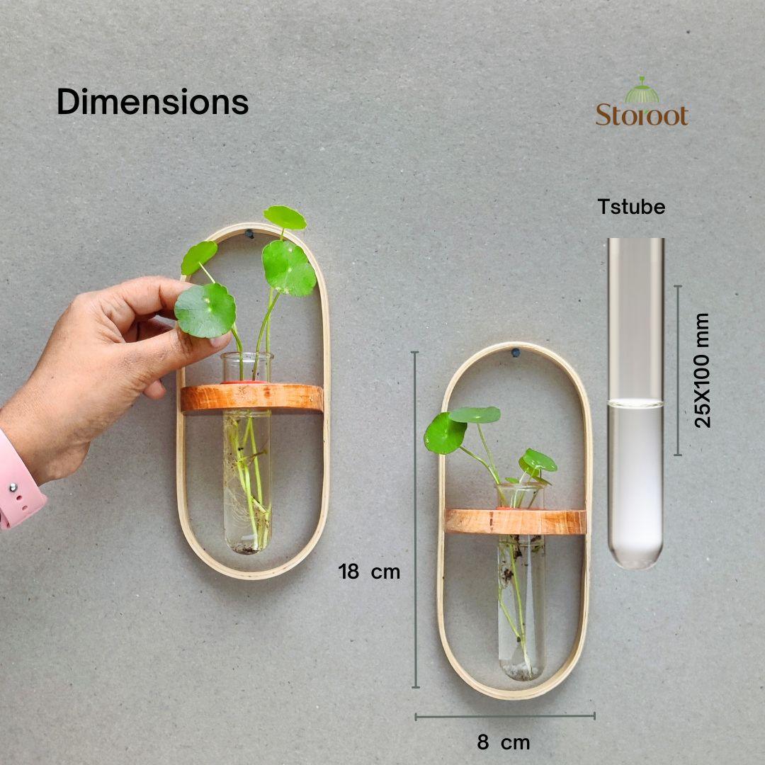 Size details of the bamboo wall hanging planter with test tubes