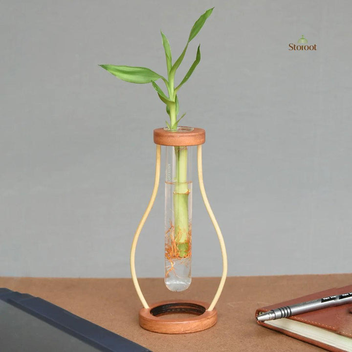 Minimalist bamboo tabletop test tube planter with a single green plant