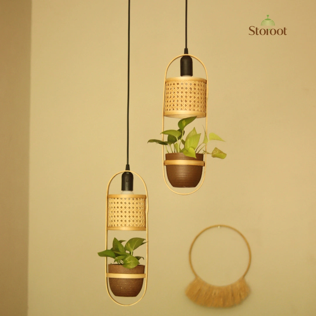 LeafLight Bamboo Planter Pendant Lamp H17 – Hanging Bamboo & Rattan Cane Light