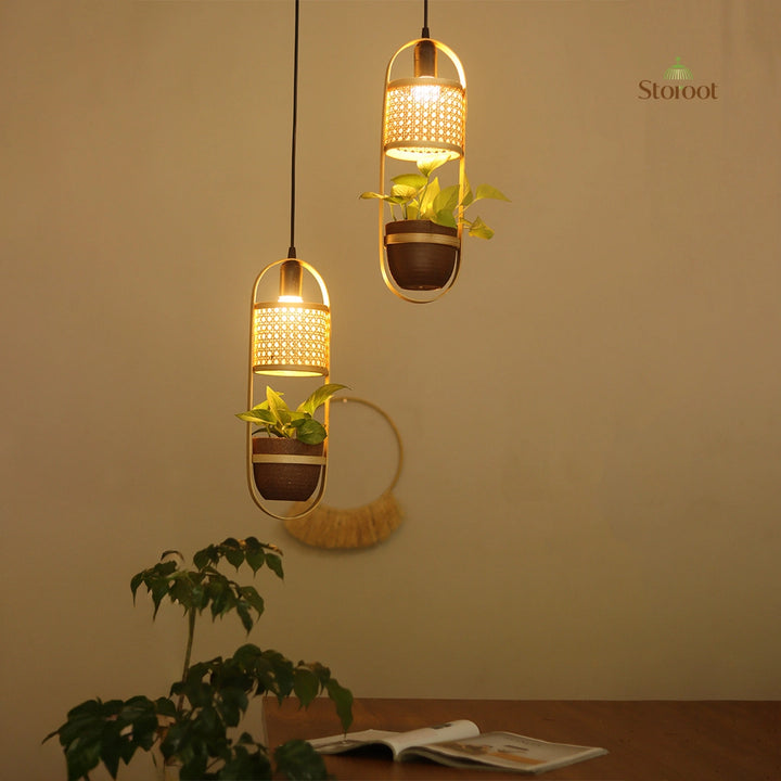 LeafLight Bamboo Planter Pendant Lamp H17 – Hanging Bamboo & Rattan Cane Light