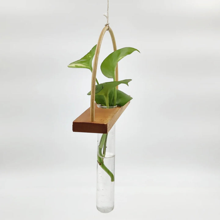 Side view of the Bogen Bamboo and Wood Test Tube Hanging Planter showing the elegant curve of the bamboo bending