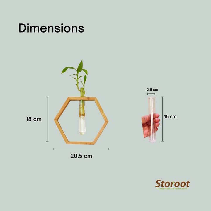 Dimensions of Honeycomb Wooden Wall Hanging Planter with Mahogany Wood Frame