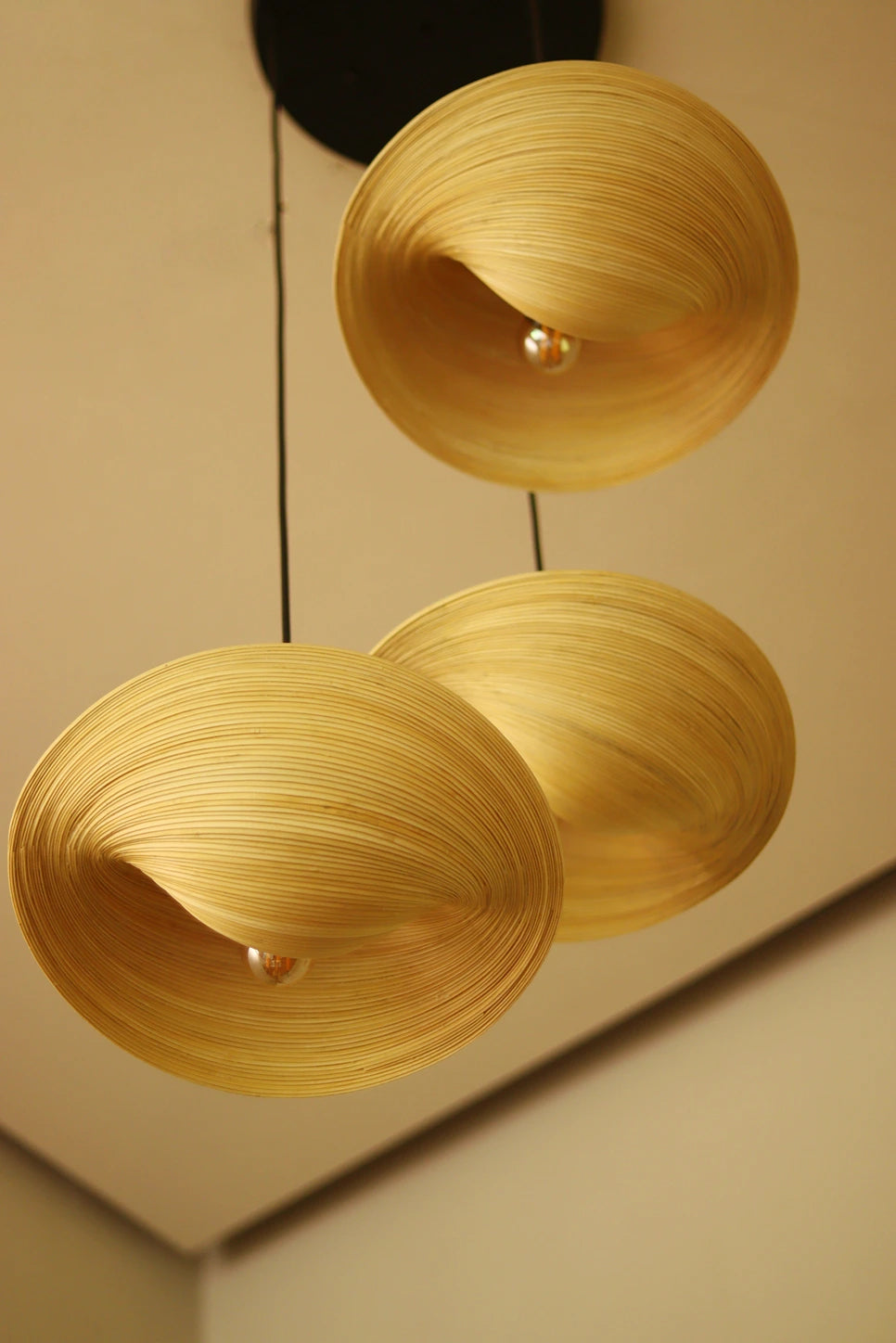 Azura Twist Bamboo Pendant Light – Seashell lamp