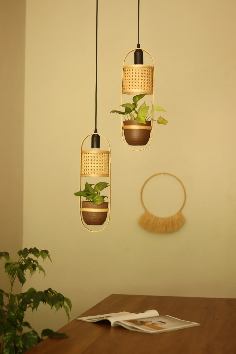 LeafLight Bamboo Planter Pendant Lamp H17 – Hanging Bamboo & Rattan Cane Light