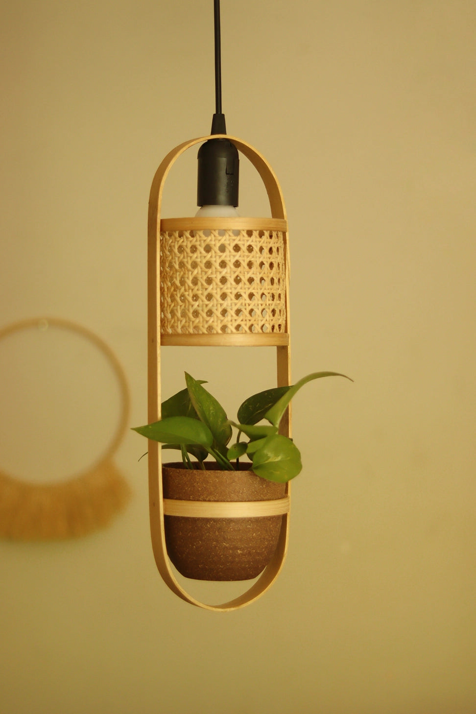 LeafLight Bamboo Planter Pendant Lamp H17 – Hanging Bamboo & Rattan Cane Light