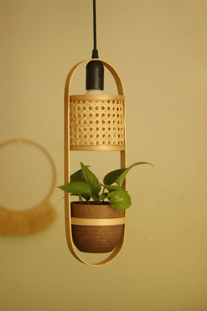 LeafLight Bamboo Planter Pendant Lamp H17 – Hanging Bamboo & Rattan Cane Light