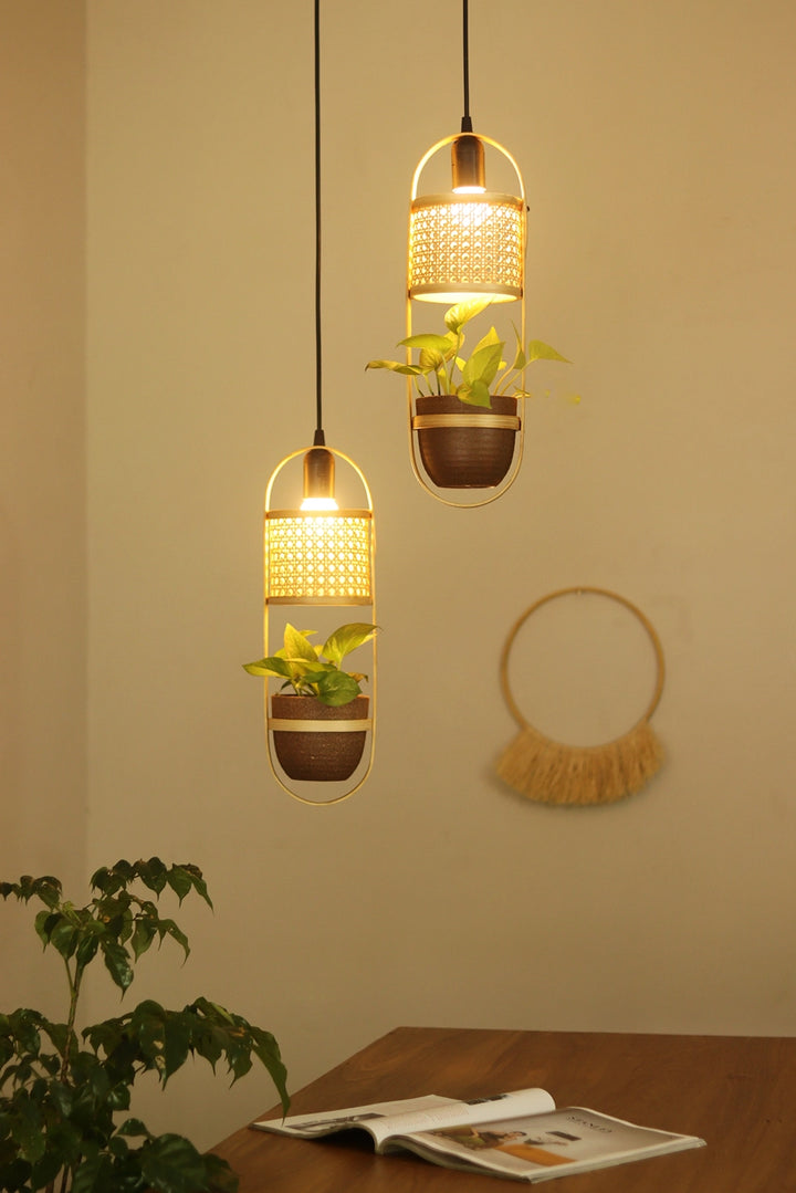 LeafLight Bamboo Planter Pendant Lamp H17 – Hanging Bamboo & Rattan Cane Light