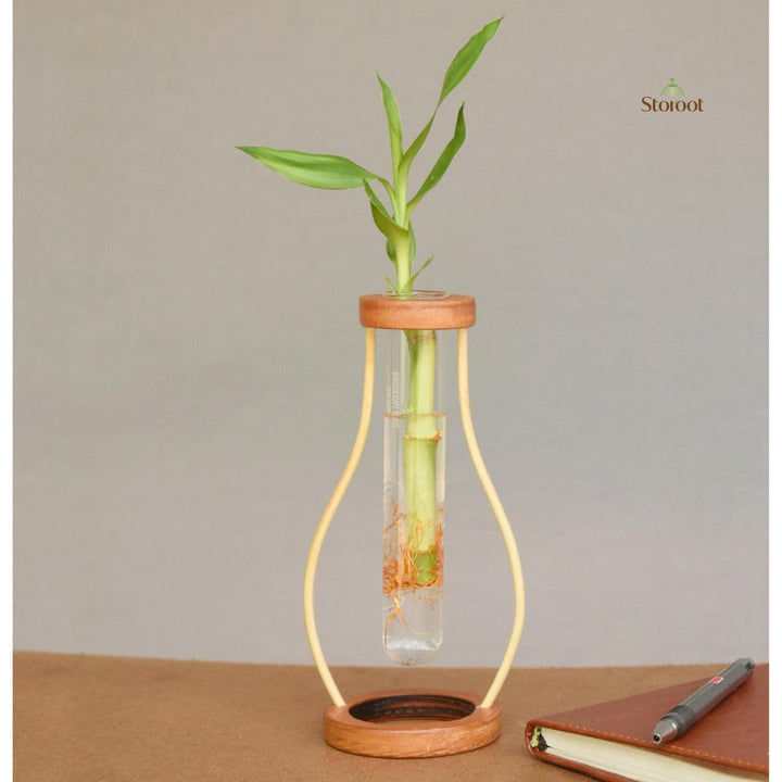 Minimalist bamboo tabletop test tube planter with a single green plant