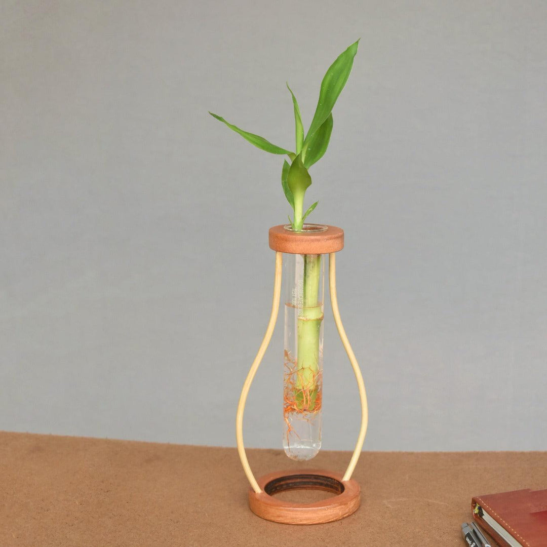 Bamboo tabletop test tube planter with a green plant, ideal for modern home decor