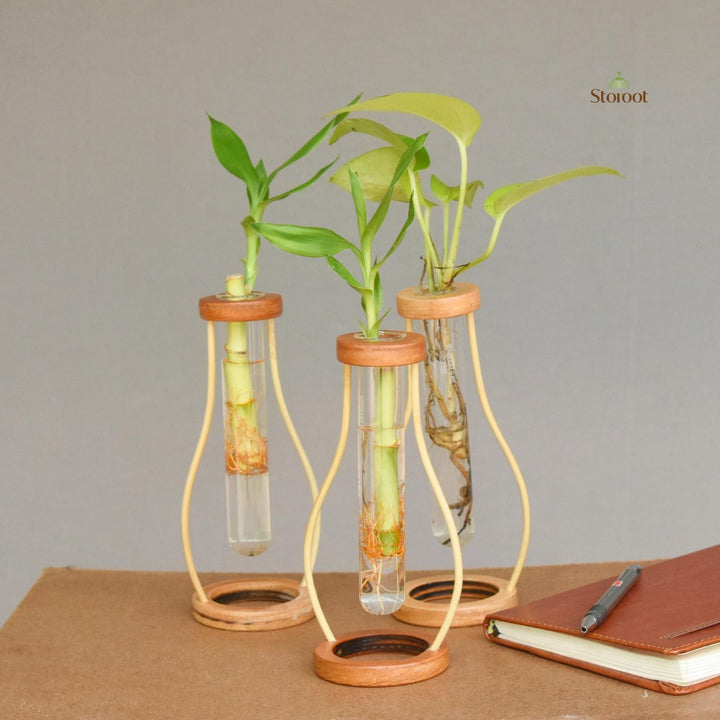 Three bamboo tabletop test tube planters with green plants, displayed on a desk