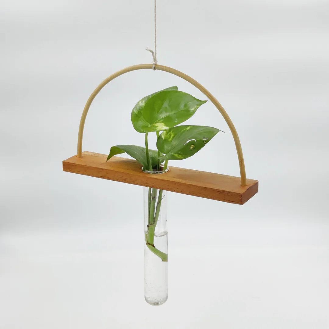 Front view of the Bogen Bamboo and Wood Test Tube Hanging Planter with a plant in the glass tube.