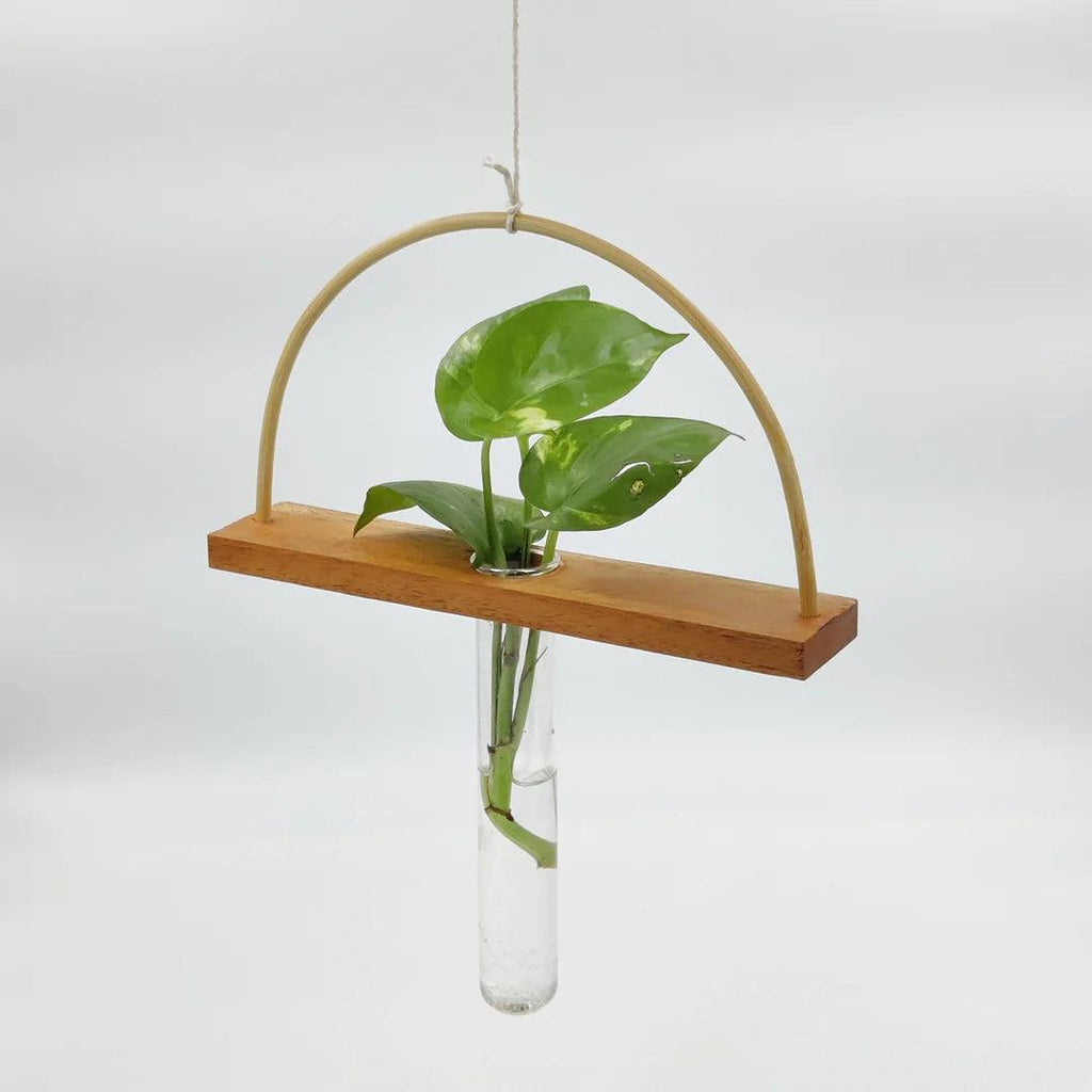 test tube plant hanger Bogen Bamboo Wood Test Tube Hanging Planter