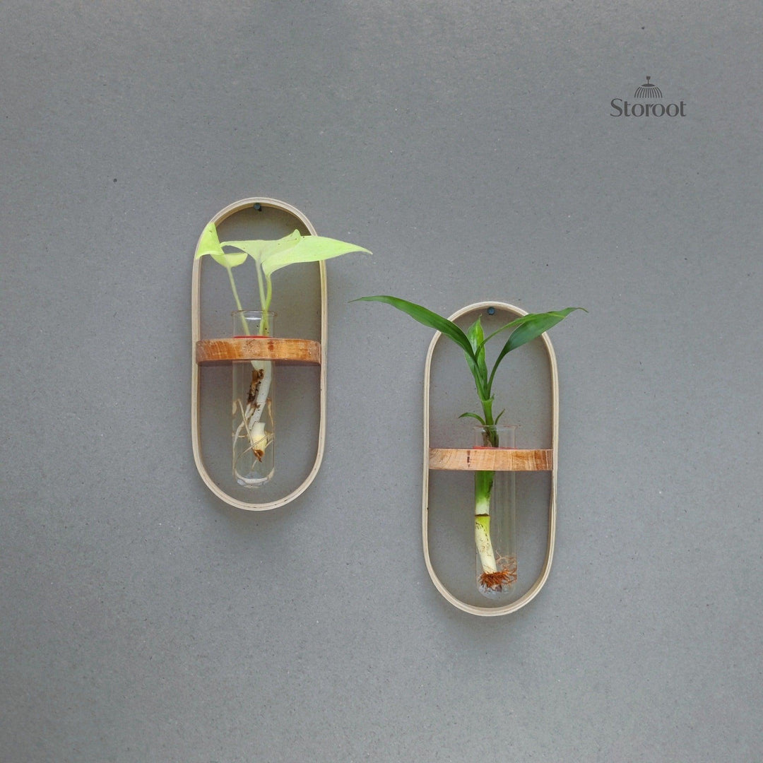 Bamboo wall hanging planter with sleek, space-saving design and transparent test tubes