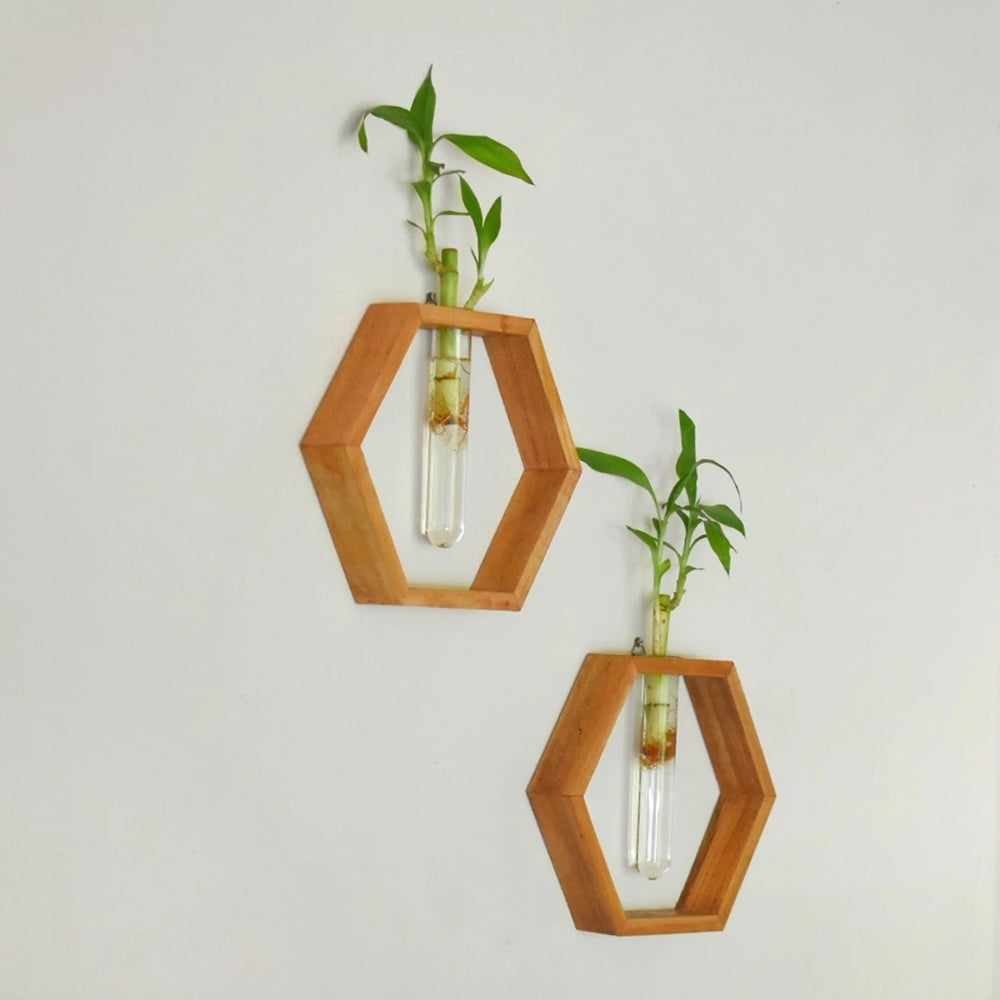 Pair of Honeycomb Wooden Wall Hanging Planters on Wall