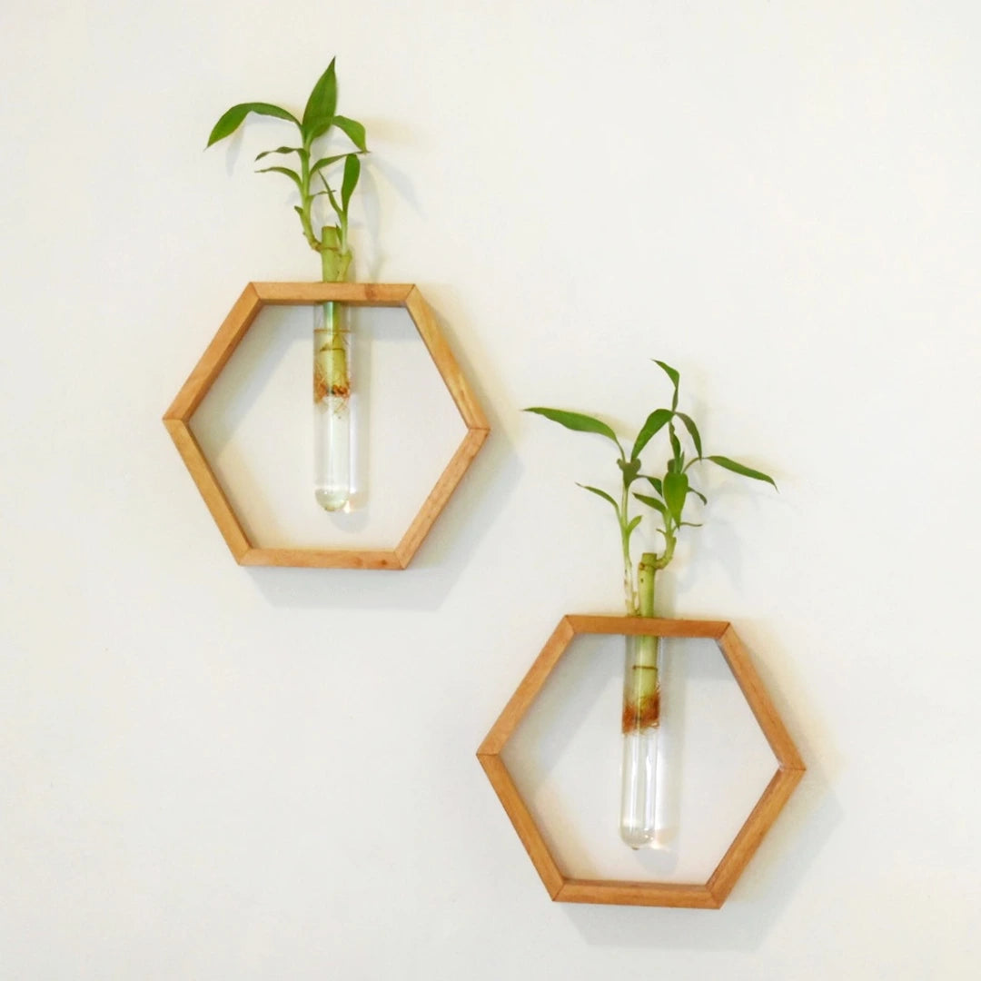 Honeycomb Wooden Wall Hanging Planters with Bamboo on White Background