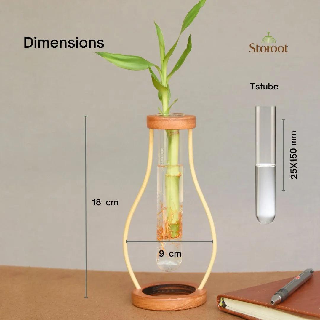 Detailed shot of the bamboo tabletop planter's material and structure