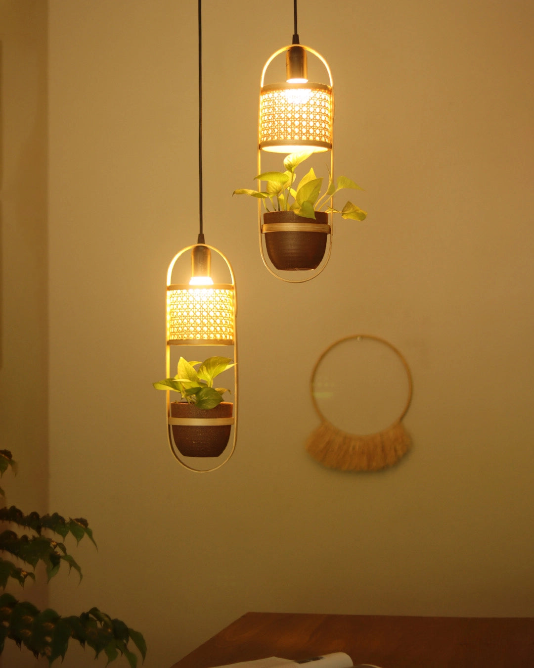LeafLight Bamboo Planter Pendant Lamp H17 – Hanging Bamboo & Rattan Cane Light