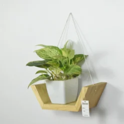 Geometric design meets functionality in this wall hanging shelf planter for home decor