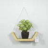 Create a striking display with this geometric wall hanging shelf planter in your home decor