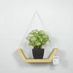 Create a striking display with this geometric wall hanging shelf planter in your home decor