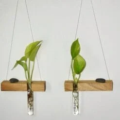 Artistic plant display with a wall-mounted hanging planter