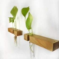 Minimalist plant holder for urban interiors