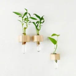 Modern hanging plant holder for stylish home decor