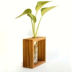 Wooden propagation box with acacia finish for indoor plants